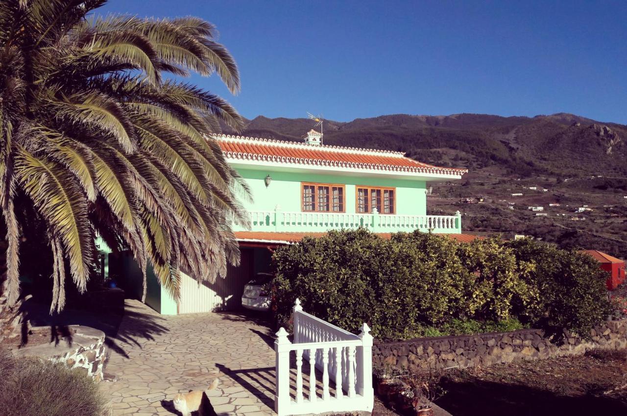 Sea And Mountain View Apartment Los Llanos De Aridane Eksteriør billede